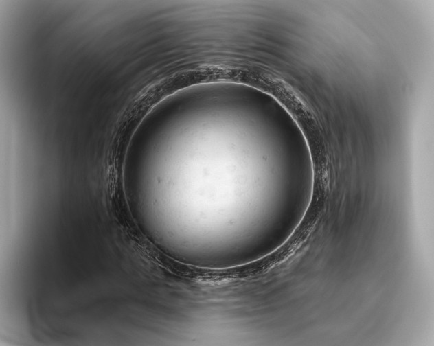 X0000094190821200710261130