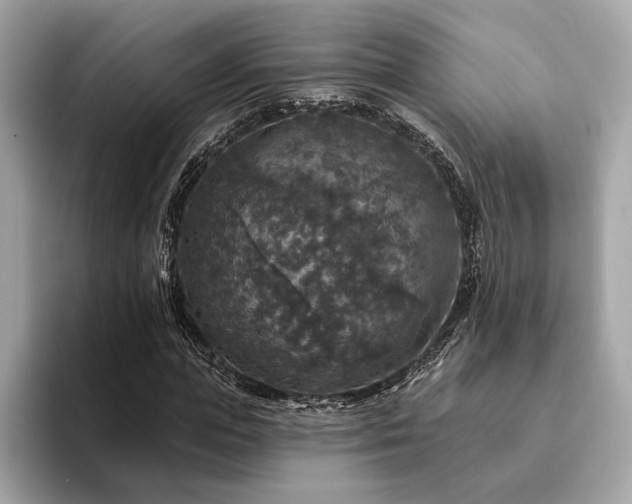 X0000094190823200710261130