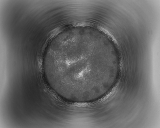 X0000094190825200710261130