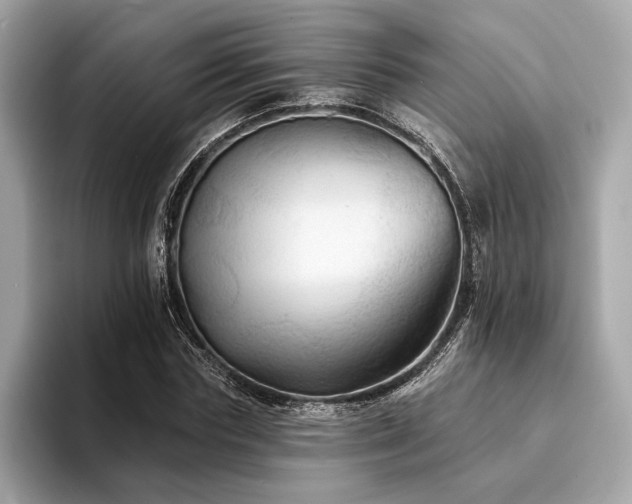 X0000094190827200710261130