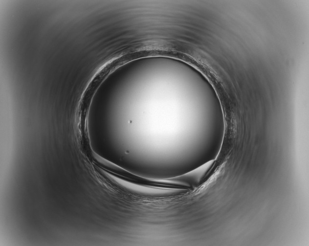 X0000094190830200710261130