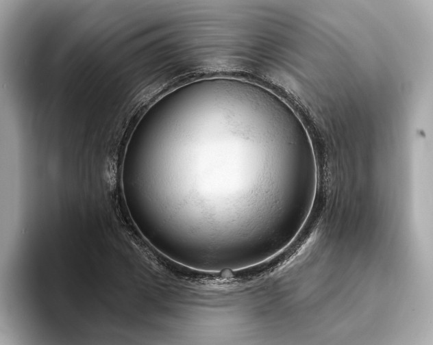 X0000094190833200710261130