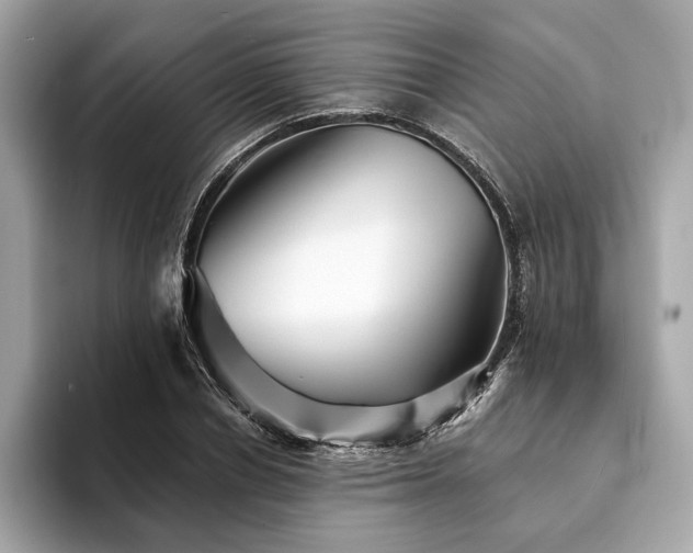 X0000094190834200710261130