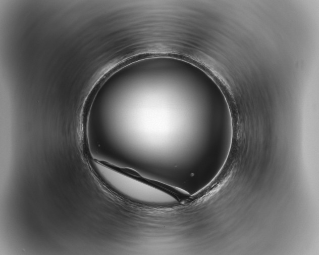 X0000094190837200710261130