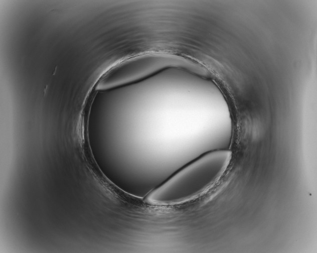 X0000094190838200710261130