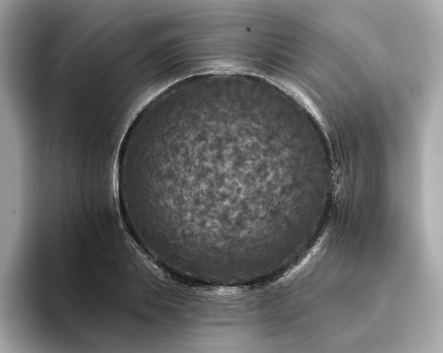 X0000094190839200710261130