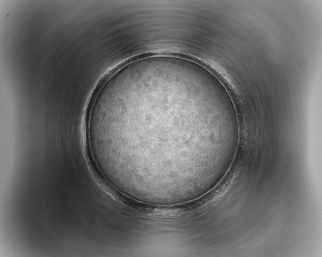 X0000094190840200710261130