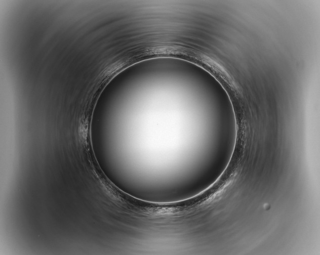 X0000094190841200710261130