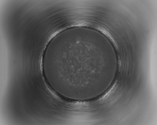X0000094190842200710261130