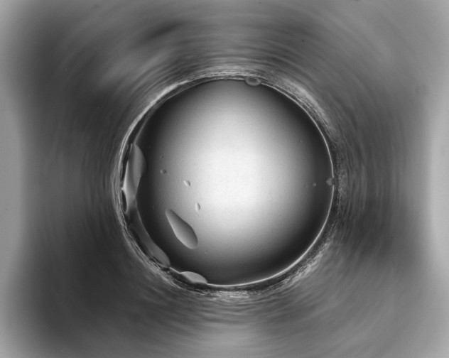 X0000094190844200710261130