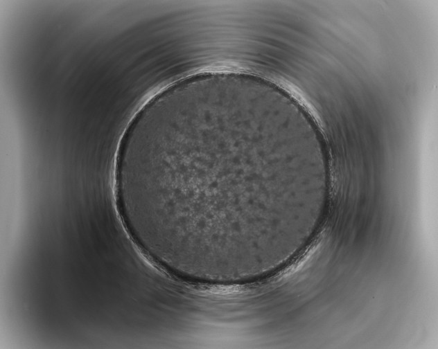 X0000094190845200710261130