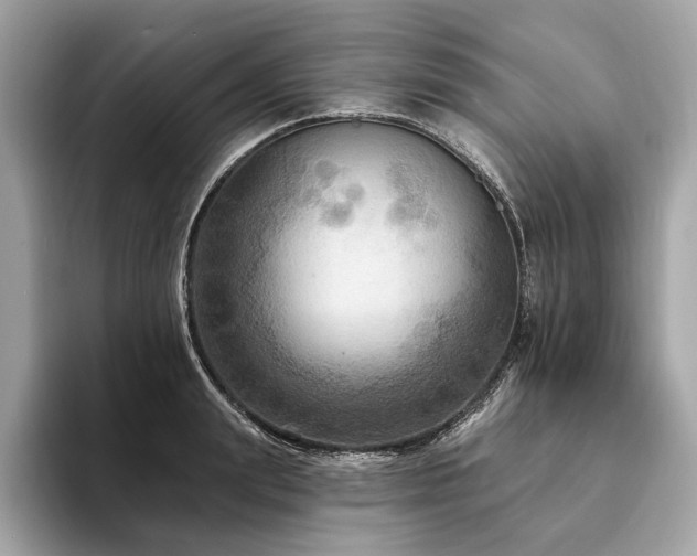 X0000094190847200710261130