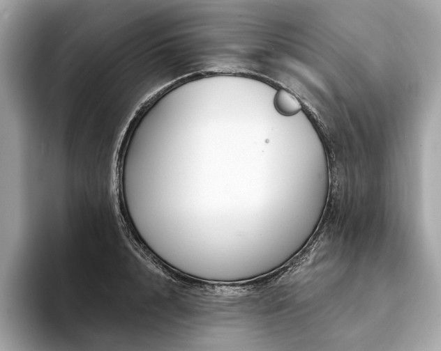 X0000094190848200710261130