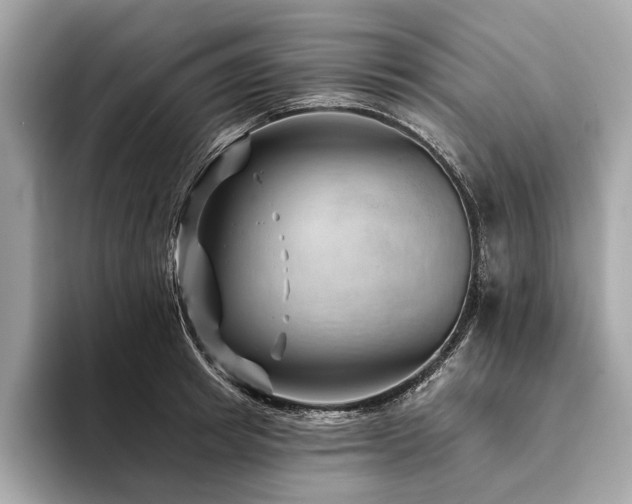 X0000094190849200710261130