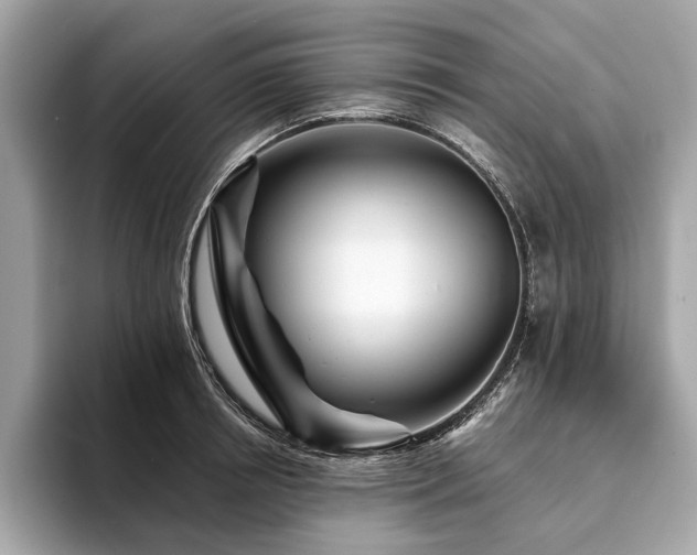 X0000094190850200710261130