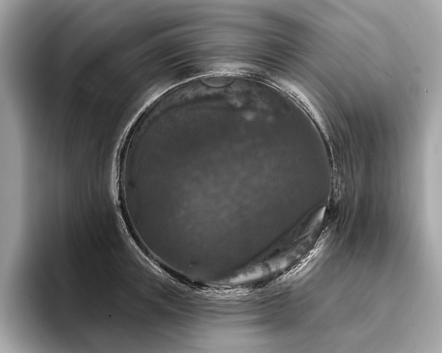 X0000094190851200710261130