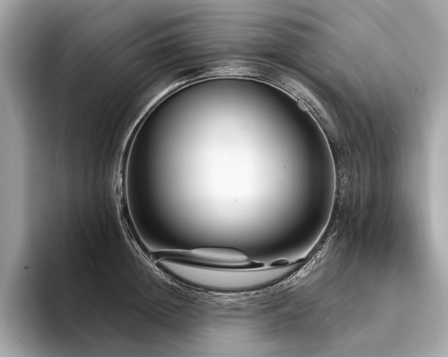 X0000094190852200710261130