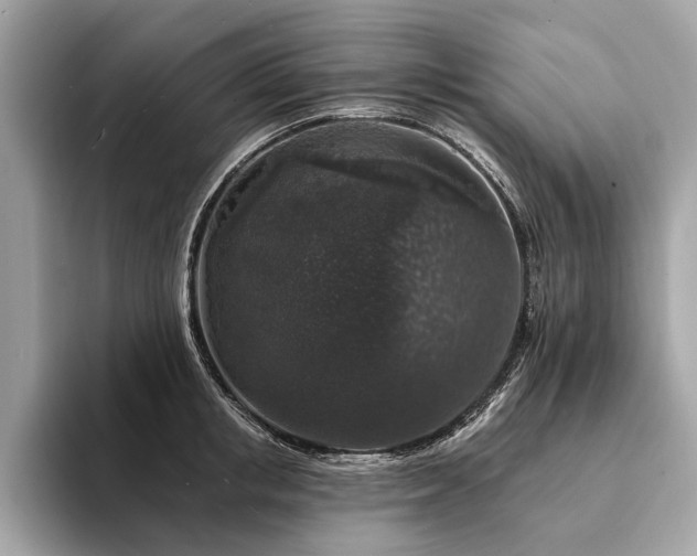 X0000094190853200710261130