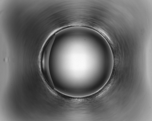 X0000094190854200710261130