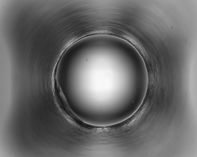 X0000094190858200710261130