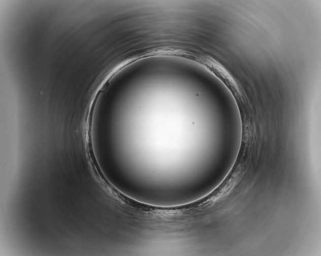 X0000094190860200710261130