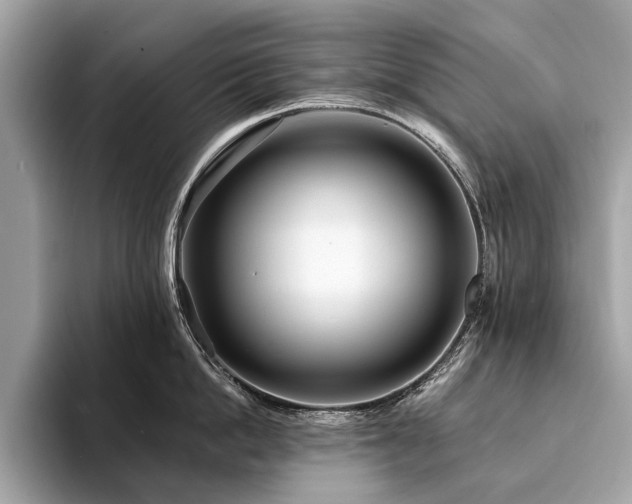 X0000094190862200710261130