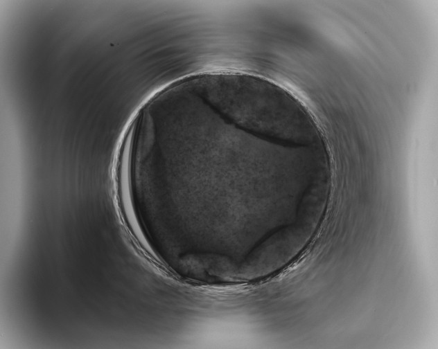 X0000094190864200710261130