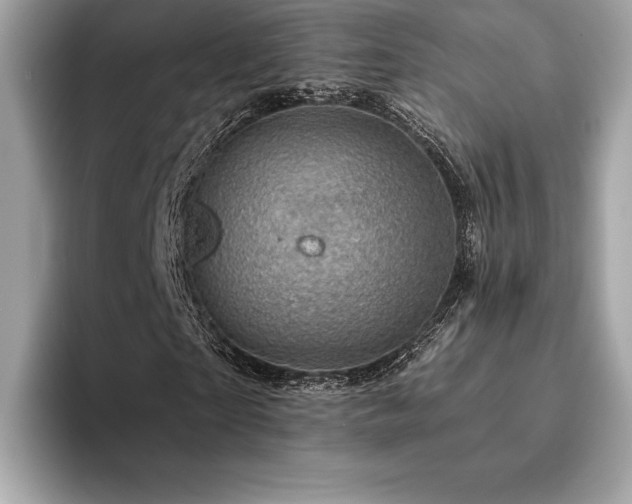 X0000094190865200710261129