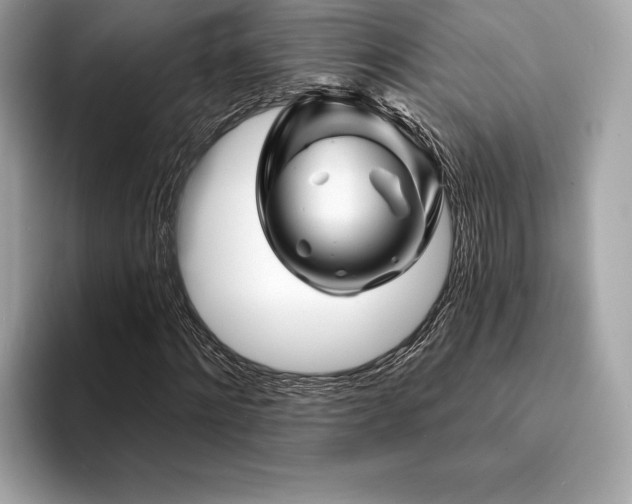 X0000094190868200710261129