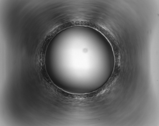 X0000094190870200710261129