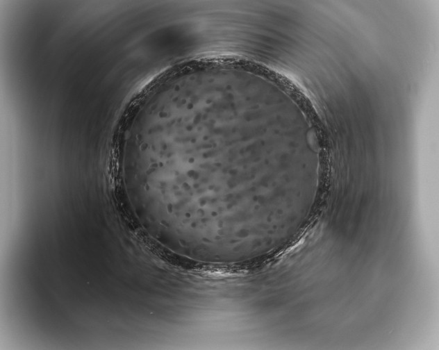 X0000094190871200710261129