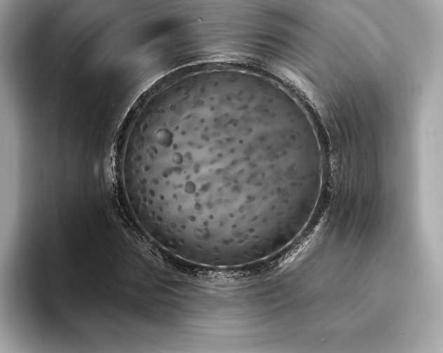 X0000094190875200710261129