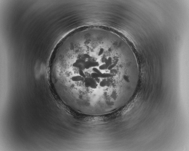 X0000094190879200710261129
