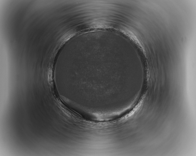 X0000094190881200710261129