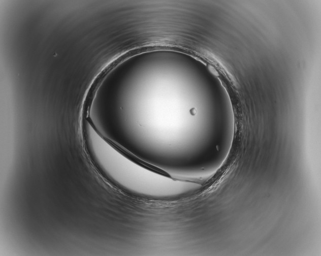 X0000094190884200710261129