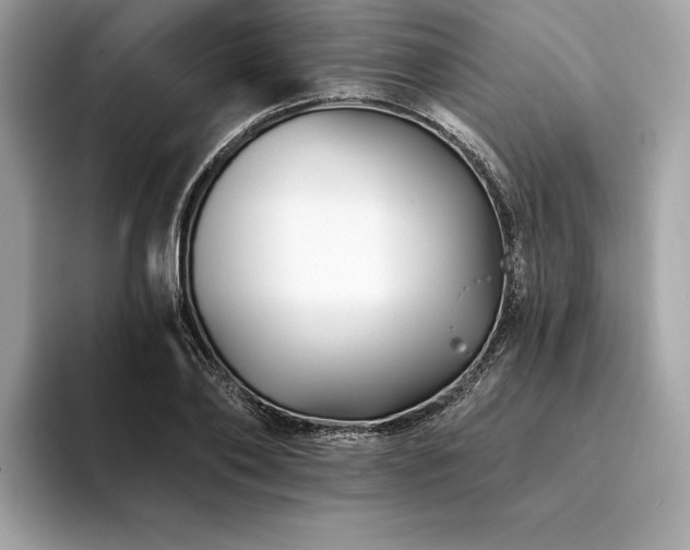 X0000094190886200710261129