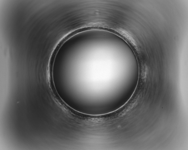 X0000094190888200710261129