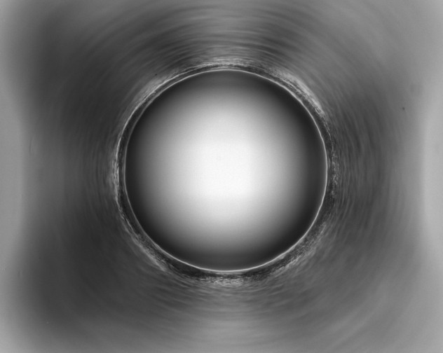 X0000094190890200710261129