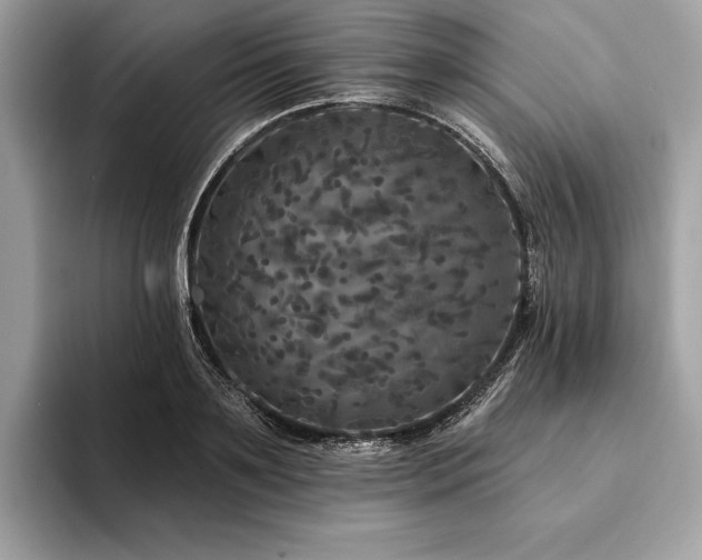 X0000094190891200710261129