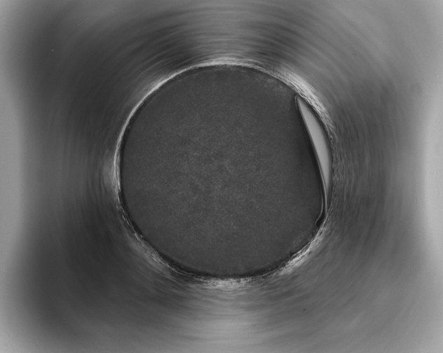 X0000094190892200710261129