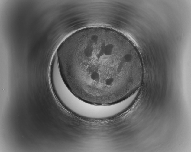 X0000094190895200710261129