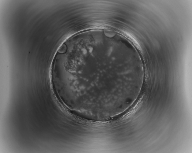 X0000094190899200710261129