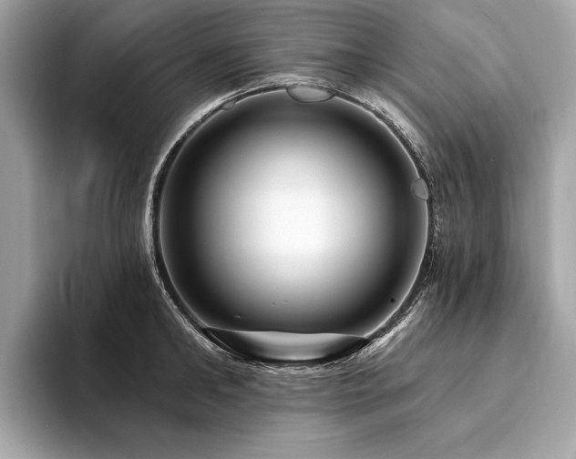 X0000094190902200710261129