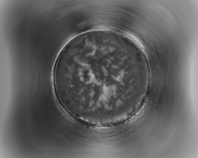 X0000094190907200710261129