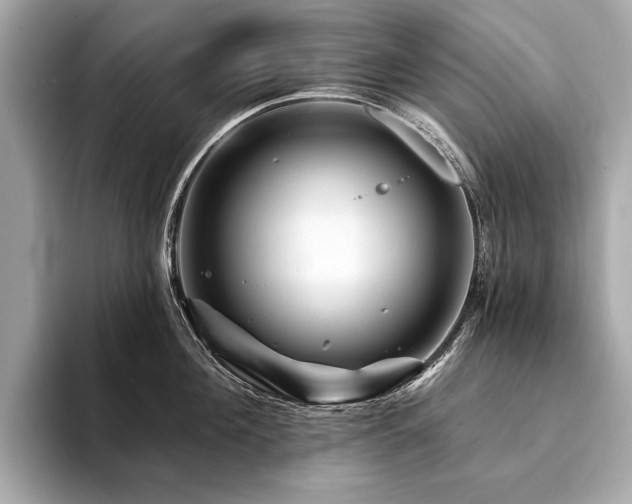 X0000094190908200710261129