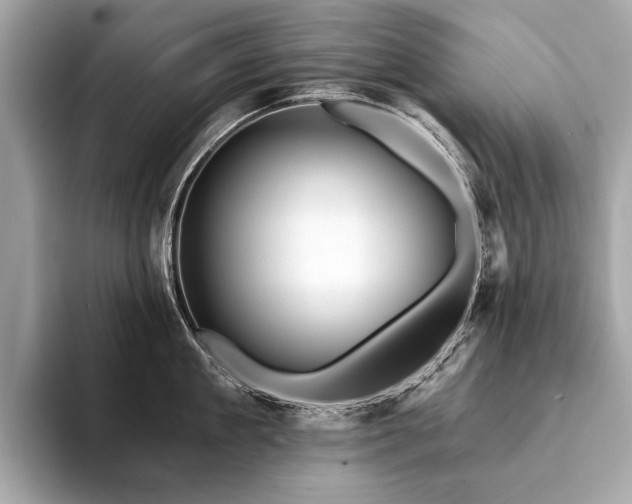 X0000094190909200710261129