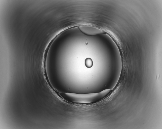 X0000094190910200710261129