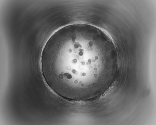 X0000094190911200710261129