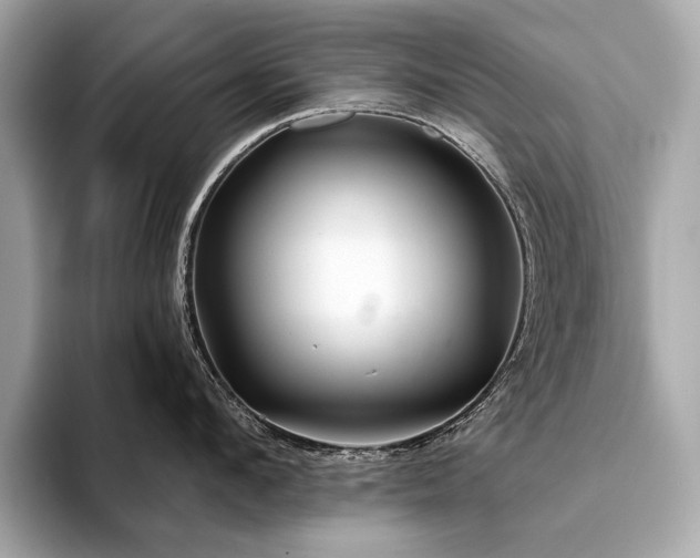 X0000094190912200710261129