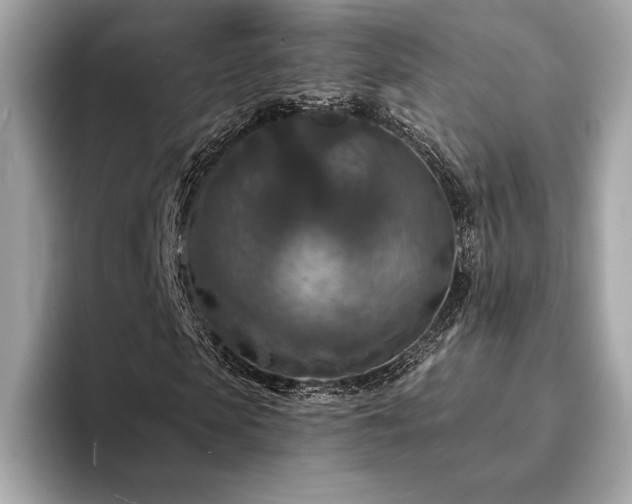 X0000094190913200710261128